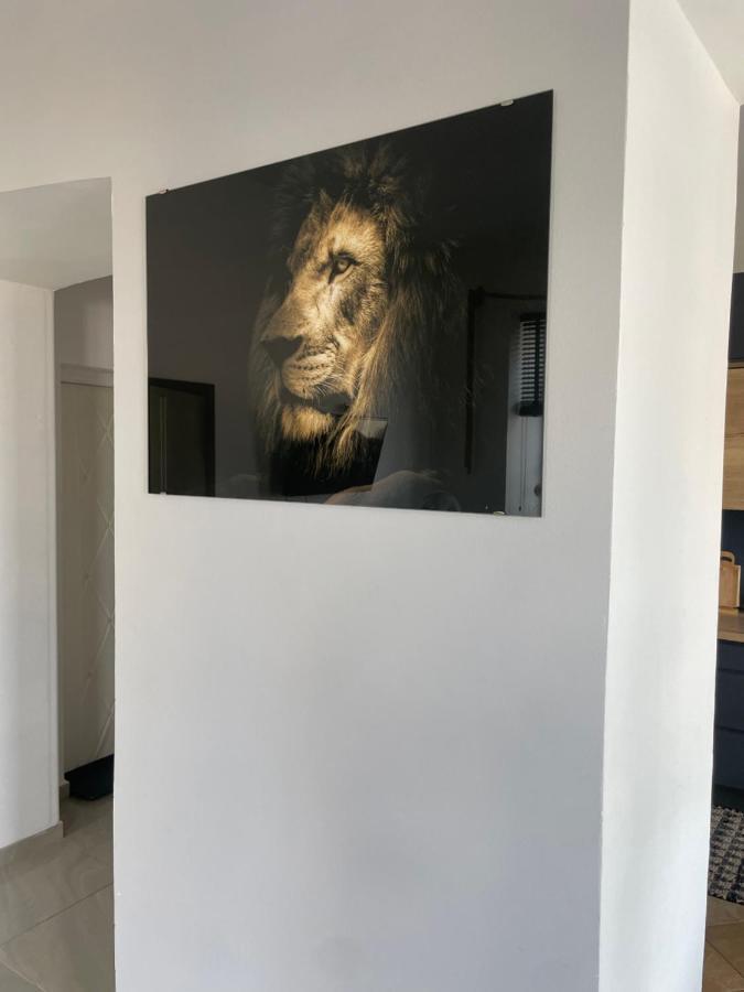 Apartament W Centrum Przy Studni 102M2 Lägenhet Chełm Exteriör bild