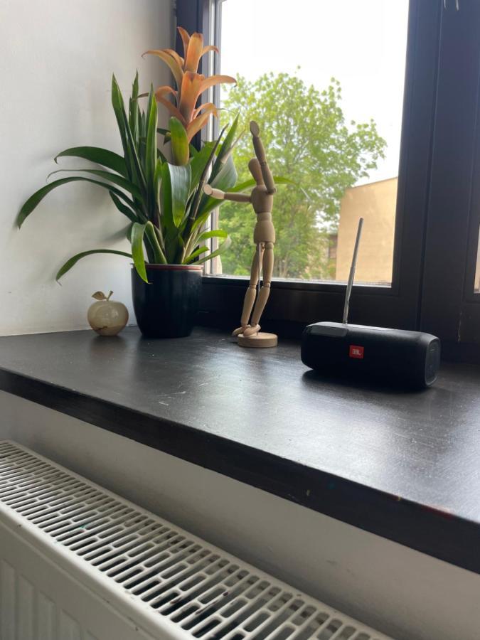 Apartament W Centrum Przy Studni 102M2 Lägenhet Chełm Exteriör bild